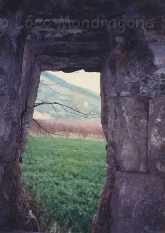 TorreDelPaladino (4).jpg